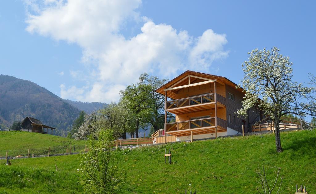 Ferienhaus Schwarzenbach Steinbach am Ziehberg Екстериор снимка